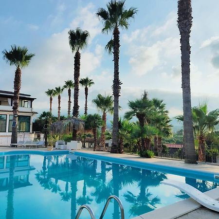 Palm House Bed & Breakfast Lamezia Terme Ngoại thất bức ảnh